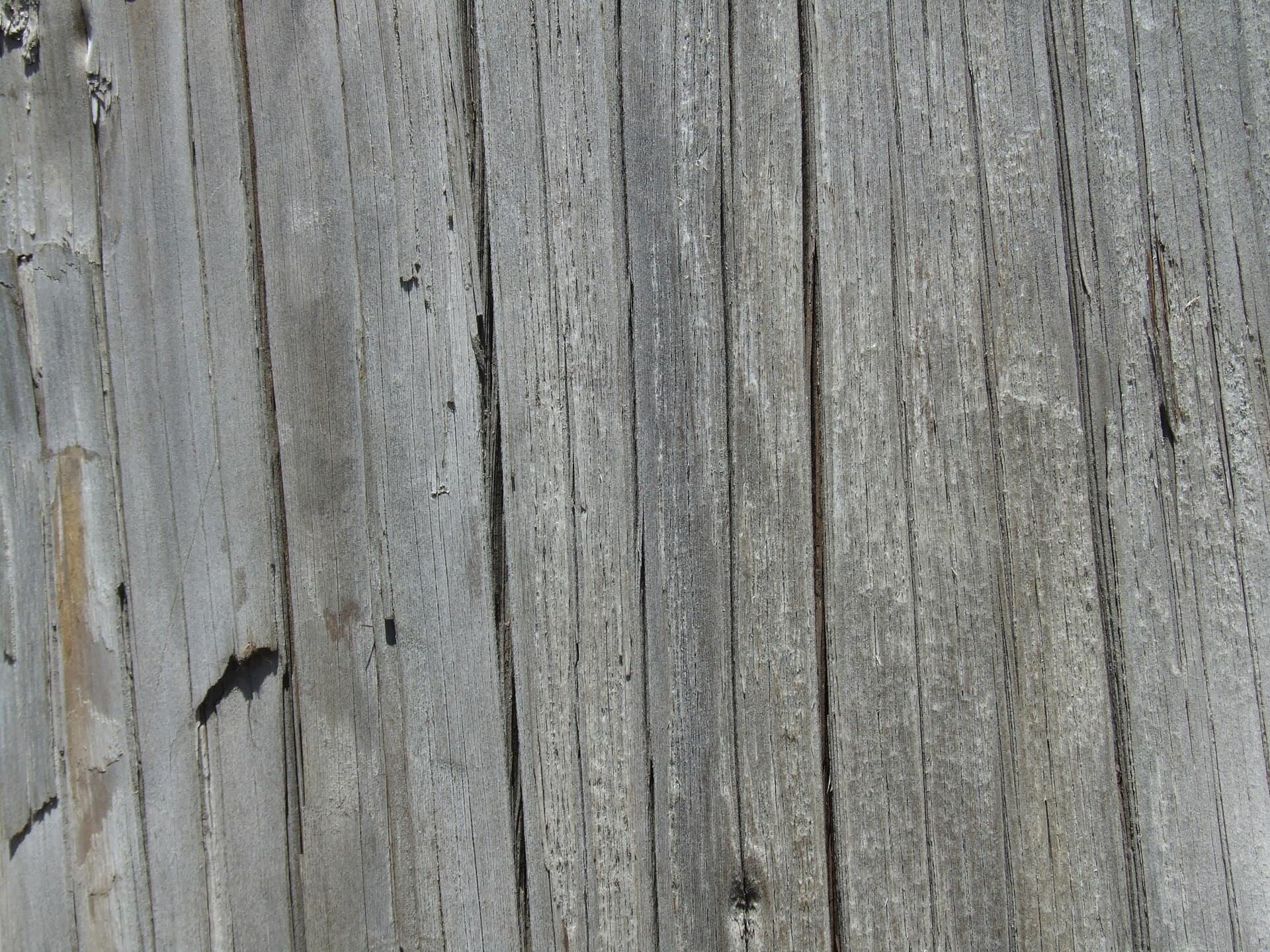 Close-up of weathered grey hardwood boards with vertical grain, fine checks and a small knot